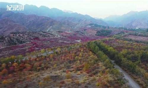 宁夏石嘴山天气预报惠农区天气预报_宁夏石嘴山天气