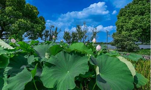 吴江天气预报30天查询百度_吴江天气