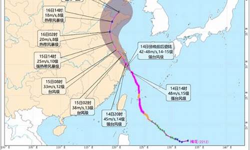 浙江台风最新动态_浙江台风预报实时预报台风