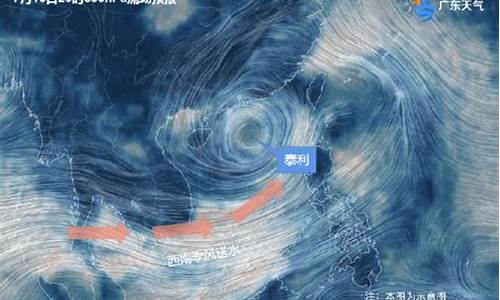 深圳明天有台风吗_深圳明天台风吗最新消息